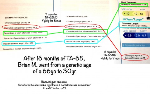 brianMtelomere